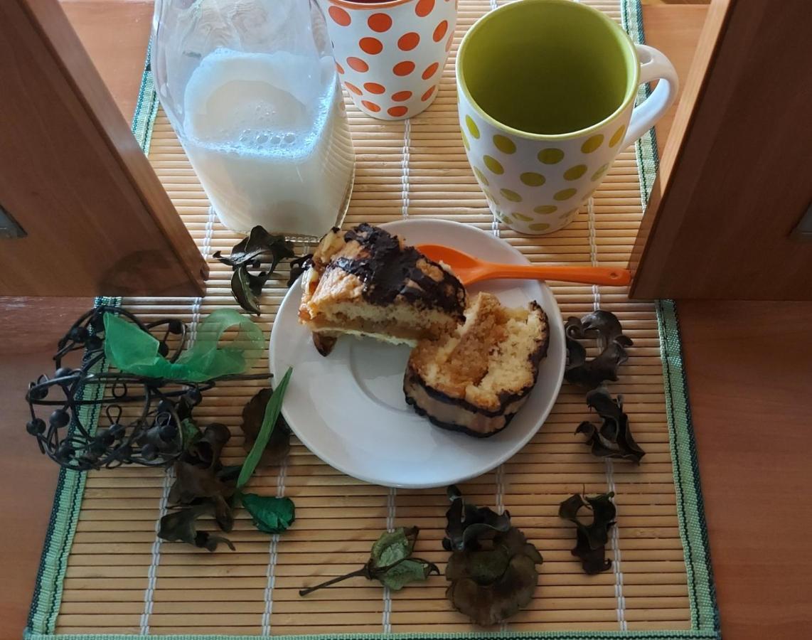 Apartamentos Ebro 레이노사 외부 사진